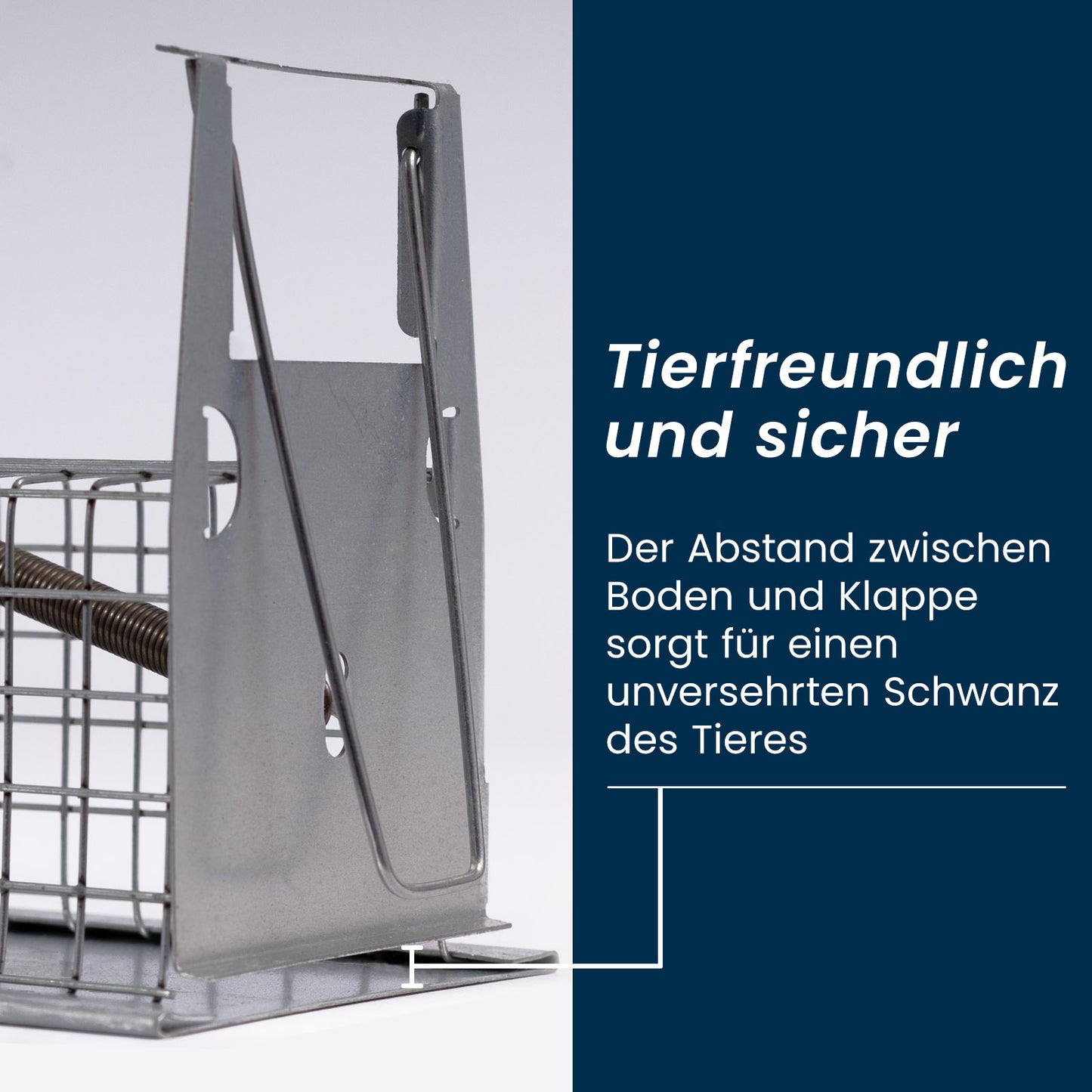 Maus Lebendfalle - Mausefalle tierfreundliche Drahtfalle aus Stahl